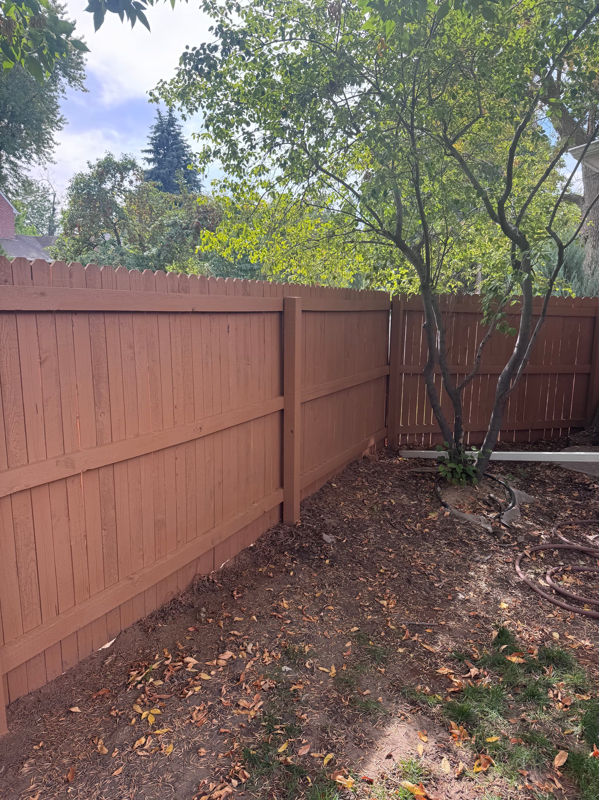 Fence Staining